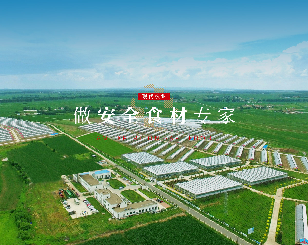 banner5_p9615812 首页-BBIN宝盈集团官方网站